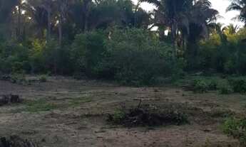 Imagem 6: Terreno para sitio