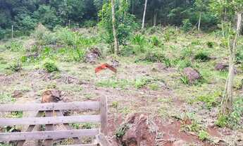 Imagem 7: Sítio em Rua Samambaia - Samambaia - São Francisco de Paula/RS