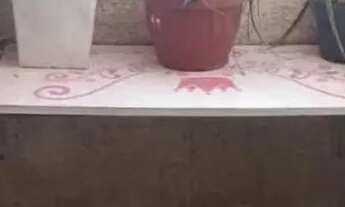 Imagem 5: Venda Apartamento com 2 dormitórios