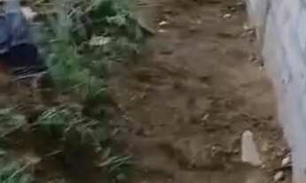 Imagem 4: Lote 200 m2 Monte-mor bairro São Clemente 2