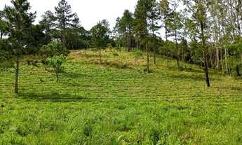 Imagem 6: Linda Chacara em São Paulo mais de 12.000 metros