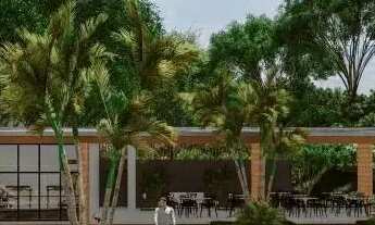 Imagem 6: Lotes pronto para construir em marechal deodoro