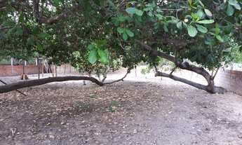 Imagem 3: Sítio Povoado Santa Teresa (1.000m²