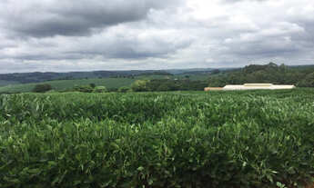 Imagem 3: Sítio - Patrimônio Espirito Santo Londrina/PR