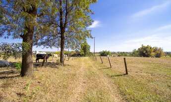 Imagem 2: Sitio em Espigao 4,5 alqueires c/casa Grande