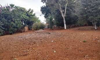 Imagem 2: 5 lotes de 360 mts cada dentro de Goianira URGENTE