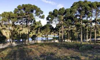 Imagem 9: Terreno com 1.022,42m² em Piraquara - Condomínio Residencial Betaville