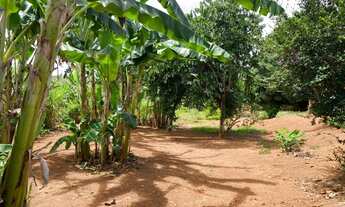 Imagem 2: Fazenda 17 ha, riacho nos fundos, lagoa de peixes água por gravidade no quintal, Serra do