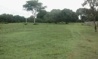 Imagem: Fazenda em Dois Irmãos. 47 mil por alqueire