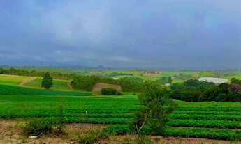 Imagem 2: Lote/Terreno para venda tem 1000 metros quadrados em Verava - Ibiúna - SP