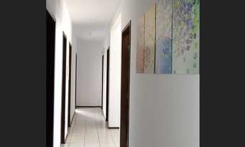 Imagem 5: Colmeia Urbana Blue House