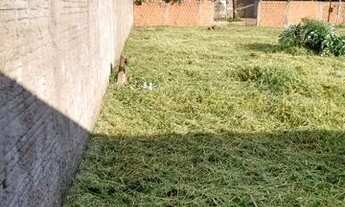 Imagem 3: Vendo terreno (2 lotes unificados) a 30 m da Av Pantaneta