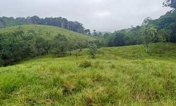 Imagem 6: Ótima oportunidade lindo sítio 5 alqueires