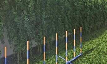 Imagem 5: Mov Perdizes - Residencial