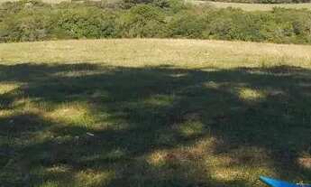 Imagem 2: Velleda oferece excelente fazenda, 175 hectares, para pecuária, Águas Claras, Viamão