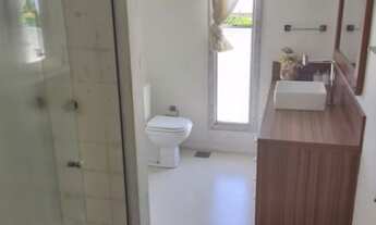 Imagem 4: Colmeia Urbana Carvoeira