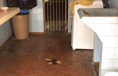 Imagem 5: Casa com 2 dormitórios à venda, 248 m² por R$ 5.300.000 - Aclimação - São Paulo/SP