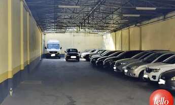 Imagem 6: Santo André - Galpão/Depósito/Armazém - Jardim