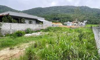 Imagem 3: Terreno medindo 321 m2-Alto do Ribeirão a 2.5 Km do trevo do Erasmo