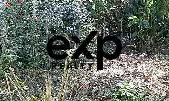 Imagem 6: OPORTUNIDADE = Terreno em Rua Residencial - Morro de São Paulo