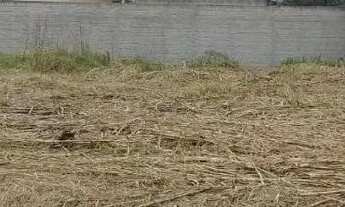 Imagem 4: Terreno bairro Alto Curitiba