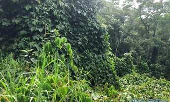 Imagem 7: TERRENO EM CONDOMÍNIO - ARUJAZINHO 1, 2, 3 - SP