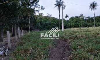 Imagem 5: Vende-se Fazenda de 38 Alqueires em Divinópolis Tocantins