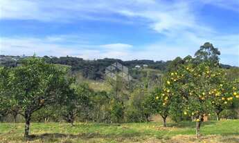 Imagem 7: Sítio próximo ao centro da cidade