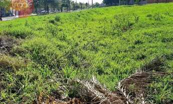Imagem 6: Terreno comercial à venda, Bonfim Paulista, Ribeirão Preto