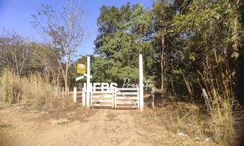 Imagem 6: Fazenda - Chácara - FAZENDA RUIBARBO