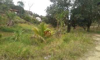 Imagem 6: Chácara com 2 dormitórios à venda, 4480 m² por R$ 350.000,00 - Chácaras Reunidas Igarapés