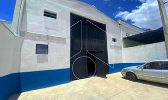 Imagem: Comercial GalpãoBarracão em Marília