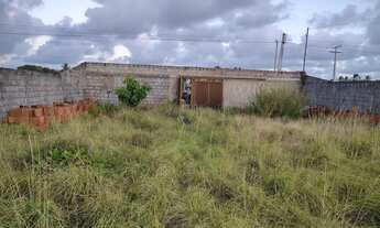 Imagem 6: Terrenao rodovia Airton Senna linha verde