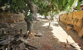 Imagem 5: Lote - Rua das Camélias - Jardim Botânico