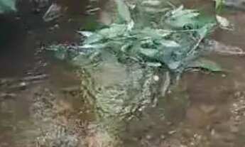 Imagem 4: Terreno com água