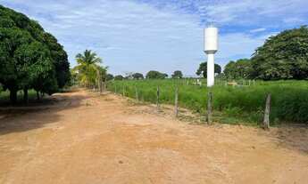 Imagem 4: FAZENDA EM BURITIZEIRO MG NA BEIRA DO RIO SÃO FRANCISCO FORMADA E COM DOIS PIVÔS