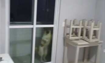 Imagem 3: Lindo Apartamento apenas 245k troco Carro ou Moto (ou alugo por 1000