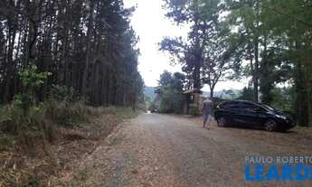 Imagem 3: TERRENO - CURURUQUARA - SP