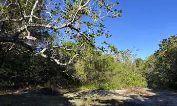 Imagem: Imóvel para venda com 1000 metros quadrados