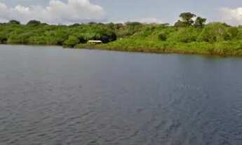Imagem 3: Terreno no Acajatuba, município de Iranduba