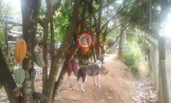 Imagem 2: Chácara à Venda em Jardim Colônia, Jacareí por R$535.000