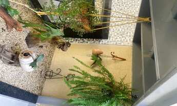 Imagem 6: Quartos para aluguel