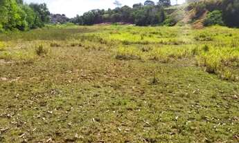 Imagem 2: Areas em Normilia, Terra Vermelha V.V5000mts, a partir 200 reais o m²