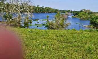 Imagem 4: Fazenda 1.500 x 2.000 com 30 cabeças de gado Autazes 1.100.000