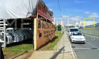 Imagem 4: Terreno BR 116 Tarumã Comercial Residencial Referencia TE1001S