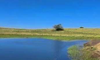 Imagem 6: Velleda oferece belo sítio de 5,2 hectares com açude em Boa Vista