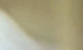 Imagem 8: Casa em Ramada - Miguel Pereira