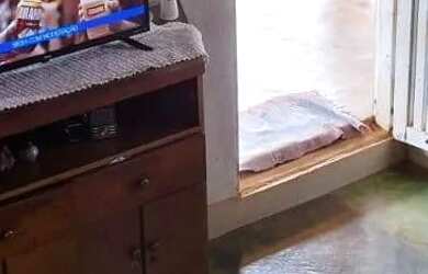 Imagem 3: Chacara a venda em Planaltina de Goiás