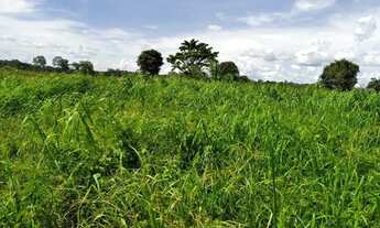 Imagem 7: Imóvel para venda possui 2807200 metros quadrados com 3 quartos em Zona Rural - Jussara