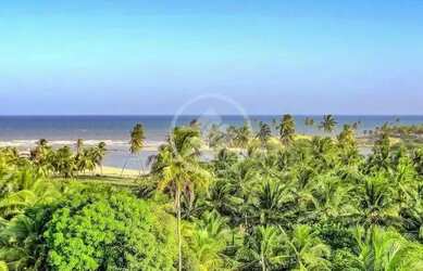 Imagem 3: VENDO TERRENO PÉ NA AREIA (1.586m²) na Linha Verde